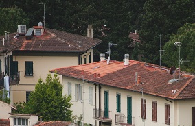 roof cleaning